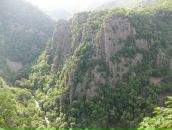 Анна Кнорпель фотография #21 (источник - https://vk.com/id312681)