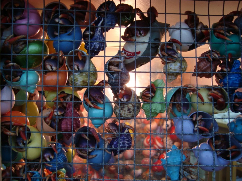 Мария Дон фотография #25