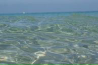 Фотография Бускина Руслана