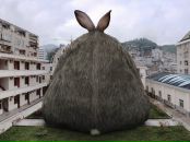 Фотография Сойтонена Миши