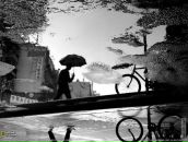 Фотография Царёва Алексея