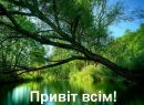 Іванна Зінько фотография #3 (источник - https://vk.com/id154699286)