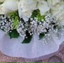 Алима Ибрагимова фотография #31 (источник - https://vk.com/id51221512)