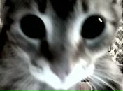 Фотография Vissarionova Olga