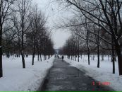 Эрик Карвальо фотография #11 (источник - https://vk.com/id2760046)