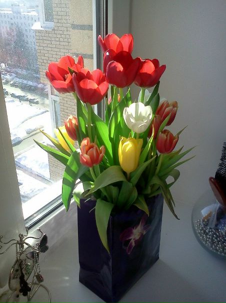 Candy Candy фото №49