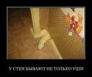 Сергій Колодько фотография #45 (источник - https://vk.com/id113680559)