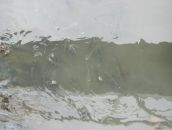 Антон Волков фотография #50 (источник - https://vk.com/id2720611)