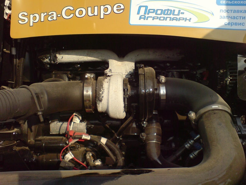 Дима Сечко фотография #45