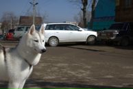 Фотография Загидуллина Роберта