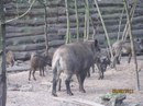 Андрій Марків фотография #12 (источник - https://vk.com/id145129481)