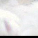 Марія Пятничук фотография #32 (источник - https://vk.com/id84135162)