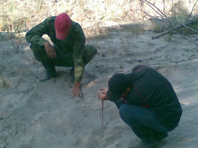 Альберт Туз фотография #30