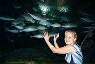 Фотография Деринг Екатерины