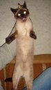 Фотография Уфимцева Семёна