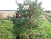 Фотография Смирновой Анны