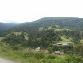 Назар Павлів фотография #44 (источник - https://vk.com/id26299511)