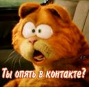 Віталік Пришляк фотография #1