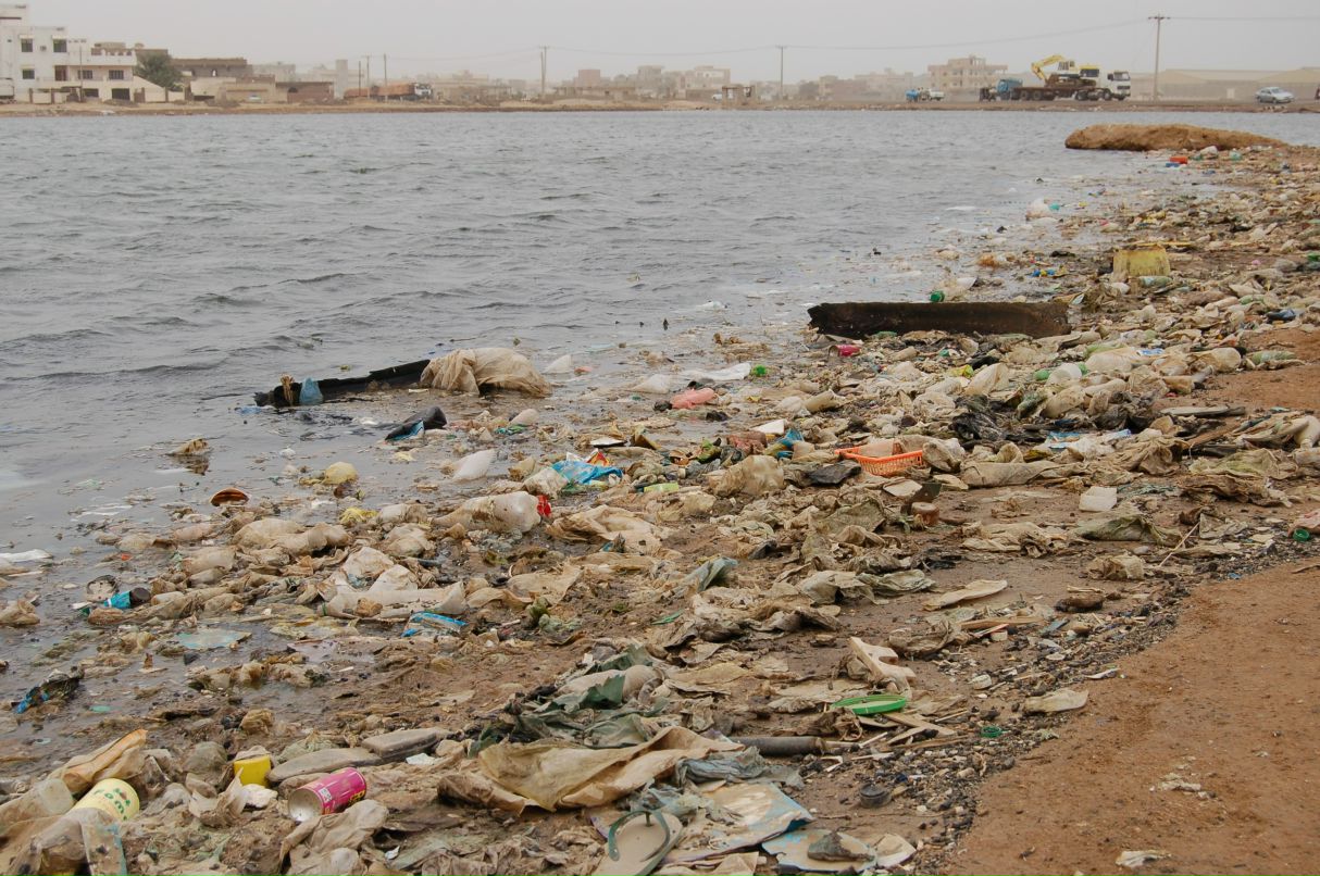 Евгений Снежко фотография #30