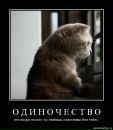 Фотография Дмитрий Жигунов