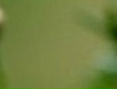 Юлія Нестеренко фотография #42 (источник - https://vk.com/id52357574)