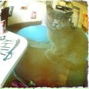 Боря Галас фотография #23 (источник - https://vk.com/id2386473)