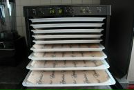 Дмитрий Сыроед фотография #3 (источник - https://vk.com/id2188673)