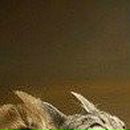 Владлєна Козачок фотография #9 (источник - https://vk.com/id98642620)