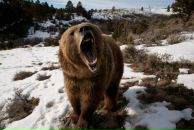 Фотография Савинова Михаила