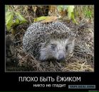 Олег Хіта фотография #29 (источник - https://vk.com/id27195048)