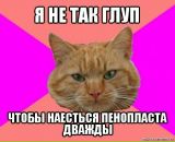 Фотография Mitwelt Алексея