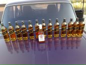 Фотография Кабаева Александра