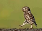 Фотография Филина Дмитрия