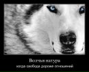Фотография Бумагина Ивана