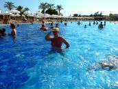 Фотография Сысоевой Анастасии