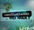 Саша Прінько фотография #29 (источник - https://vk.com/id133559002)