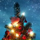 Надія Осташ фотография #14 (источник - https://vk.com/id123799489)