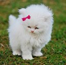 Юлюся Сем-Янів фотография #43 (источник - https://vk.com/id166936484)