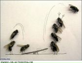 Фотография Каманина Андрея