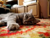 Фотография Матвеевой Ирины