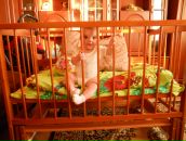 Наталія Бриль фотография #21 (источник - https://vk.com/id67693392)