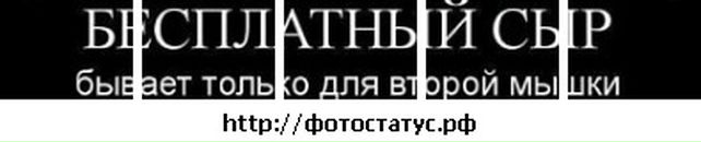 Роман Іллюк фотография #1