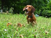 Фотография Перебайловой Аллы