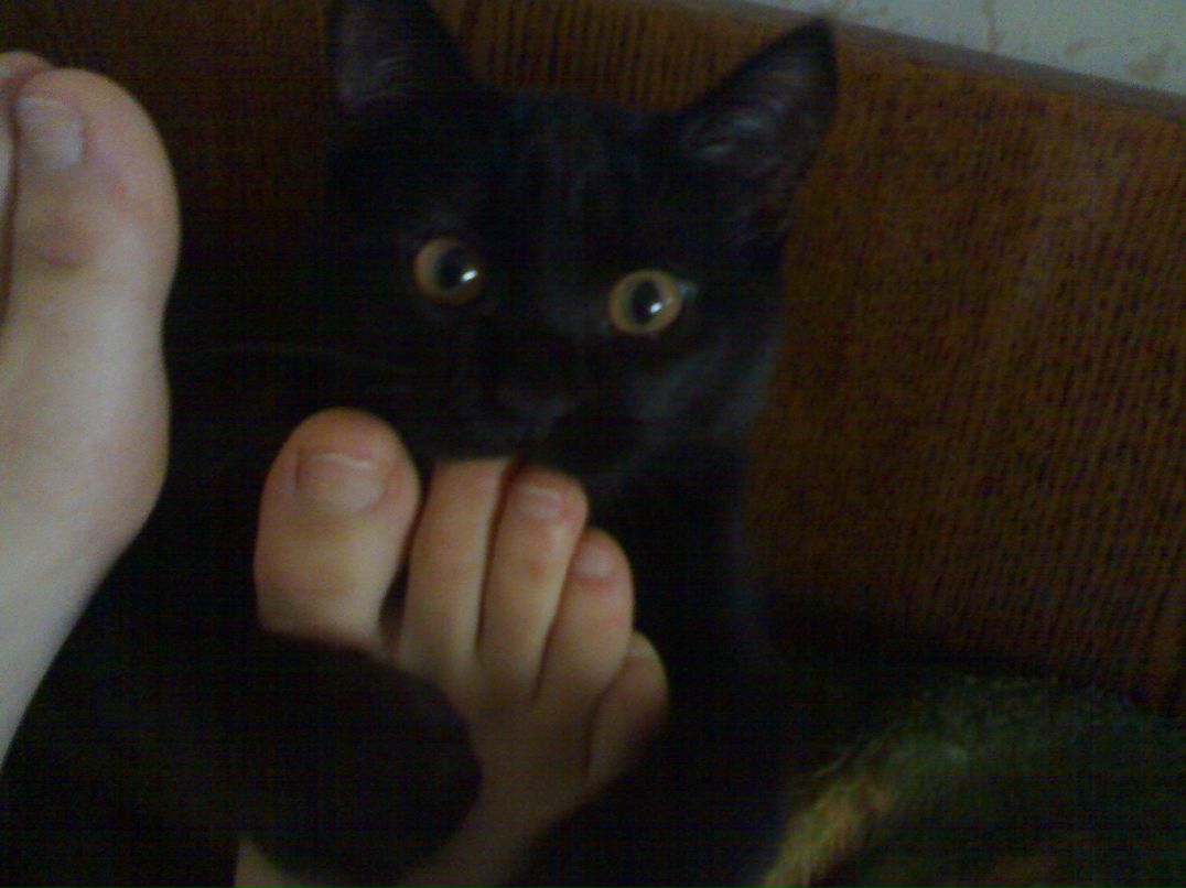 Дмитрий Агишев фотография #41