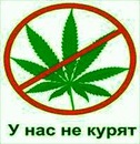 Вова Астафєв фотография #14 (источник - https://vk.com/id148195838)