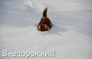 Віктор Малий фотография #43 (источник - https://vk.com/id146937816)