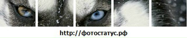 Андрій Шовкун фотография #22 (источник - https://vk.com/id110618015)