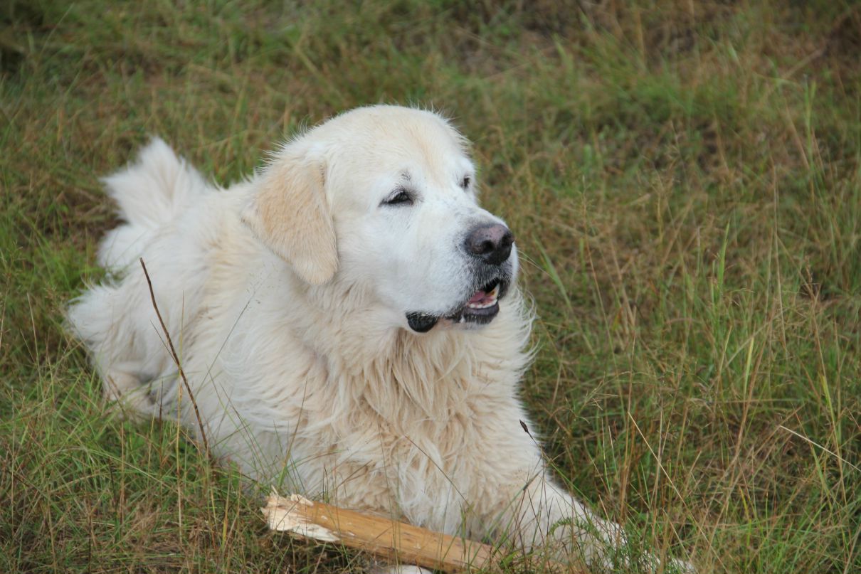 Иван Любченко фотография #48