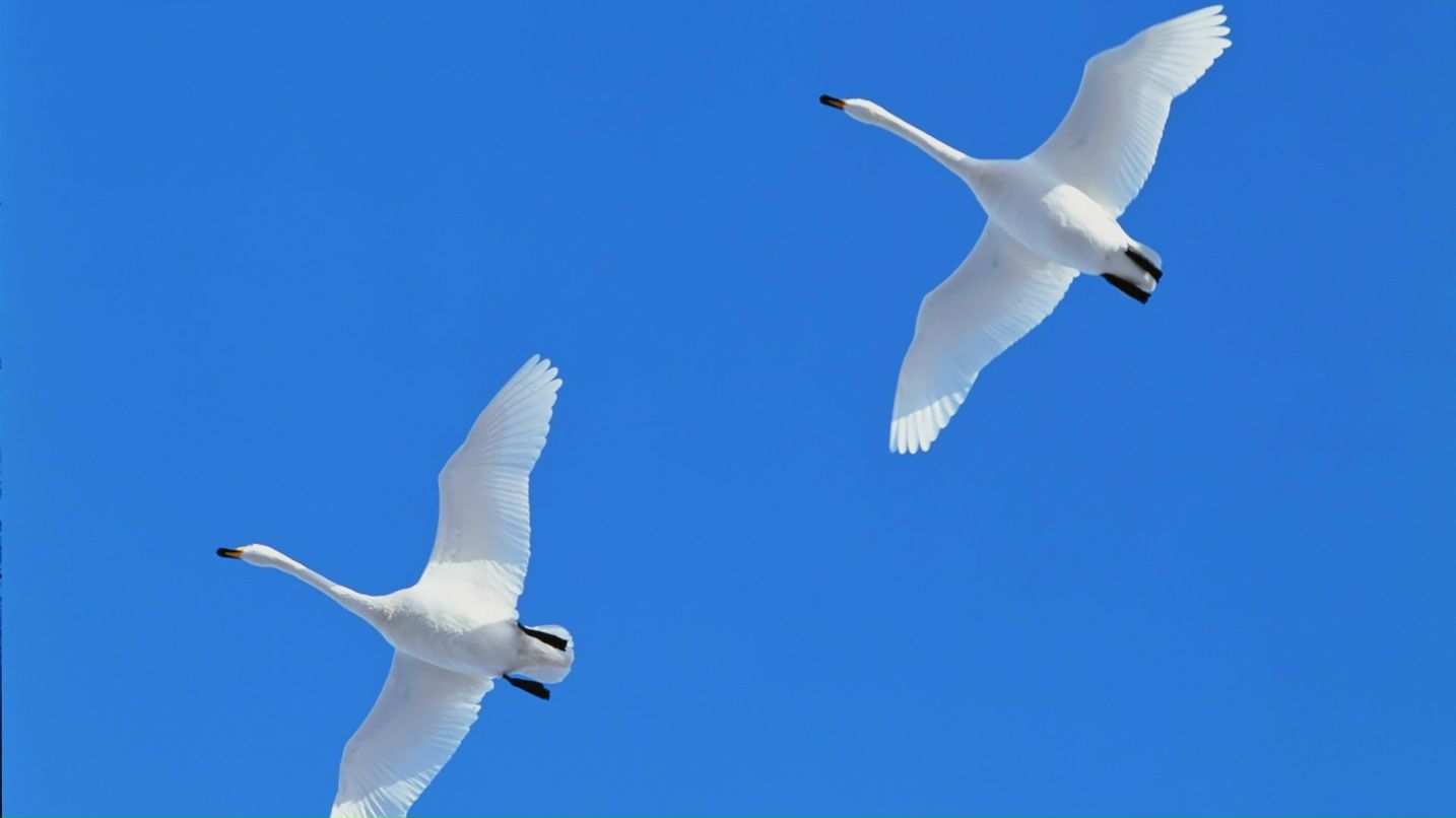 Kim Fly фотография #44