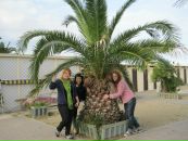 Марія Черепаха фотография #44 (источник - https://vk.com/id96141685)